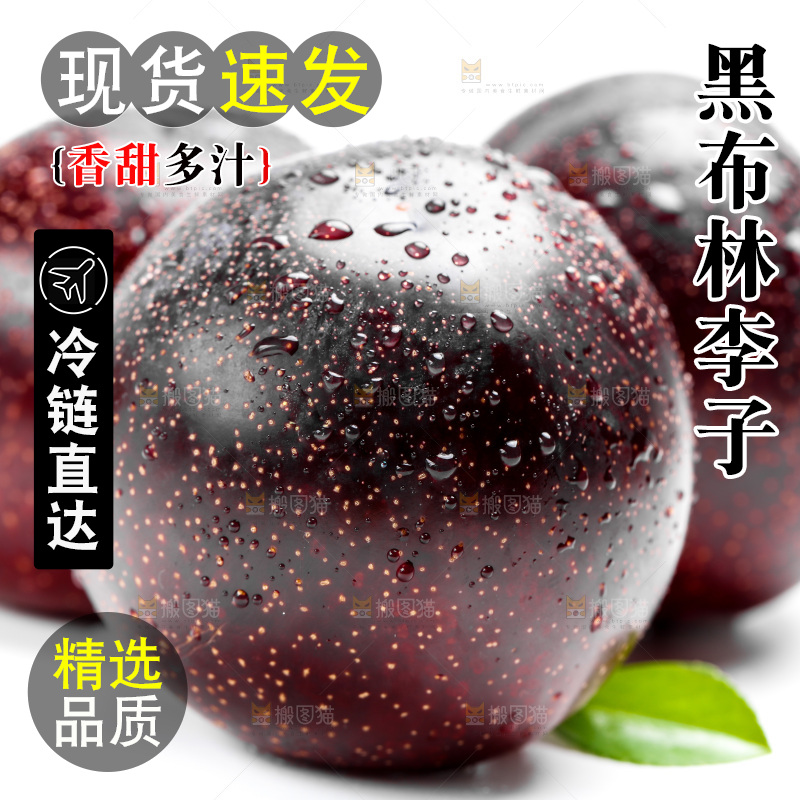 白底上的黑布林