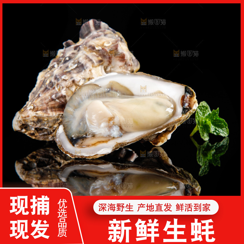 深底上放着牡蛎