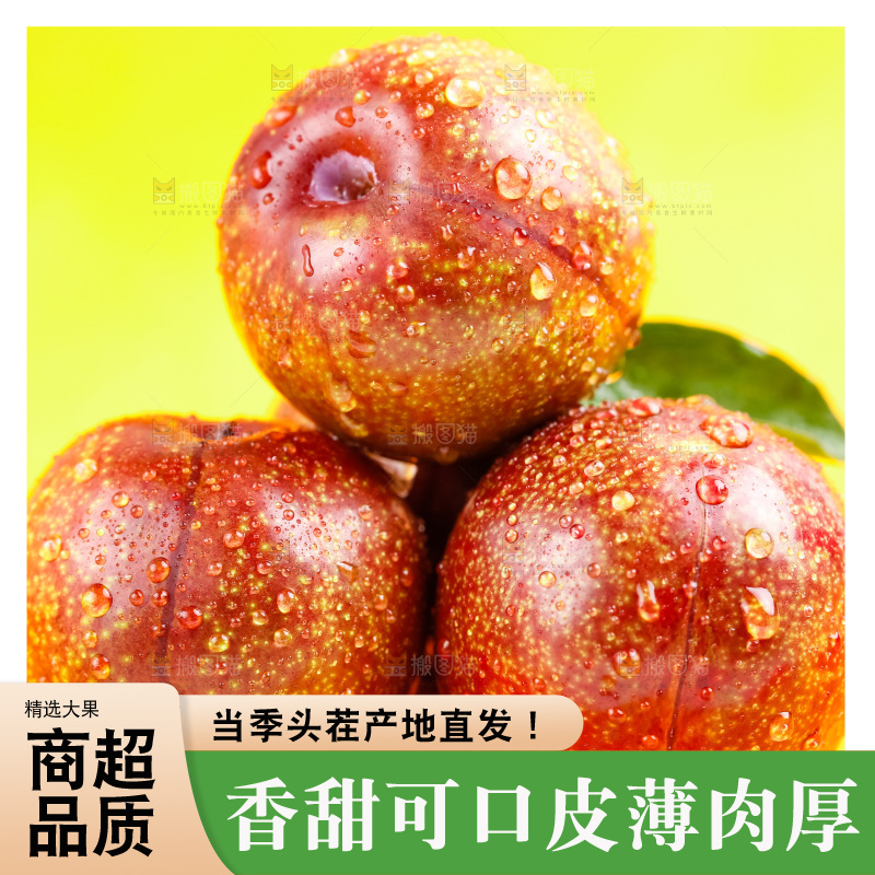 浅底上放着钱排三华李