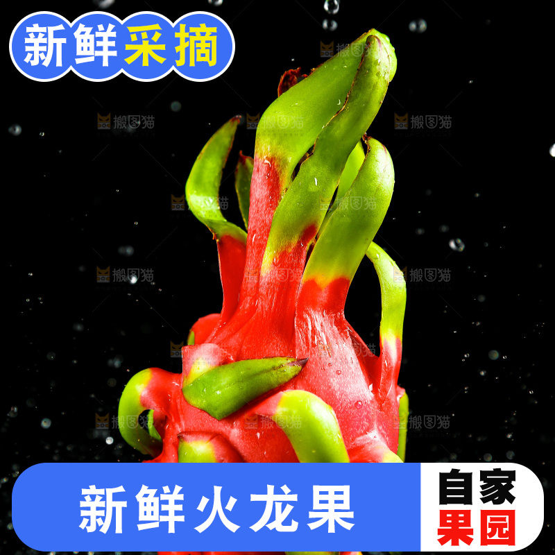 深底上的红心火龙果