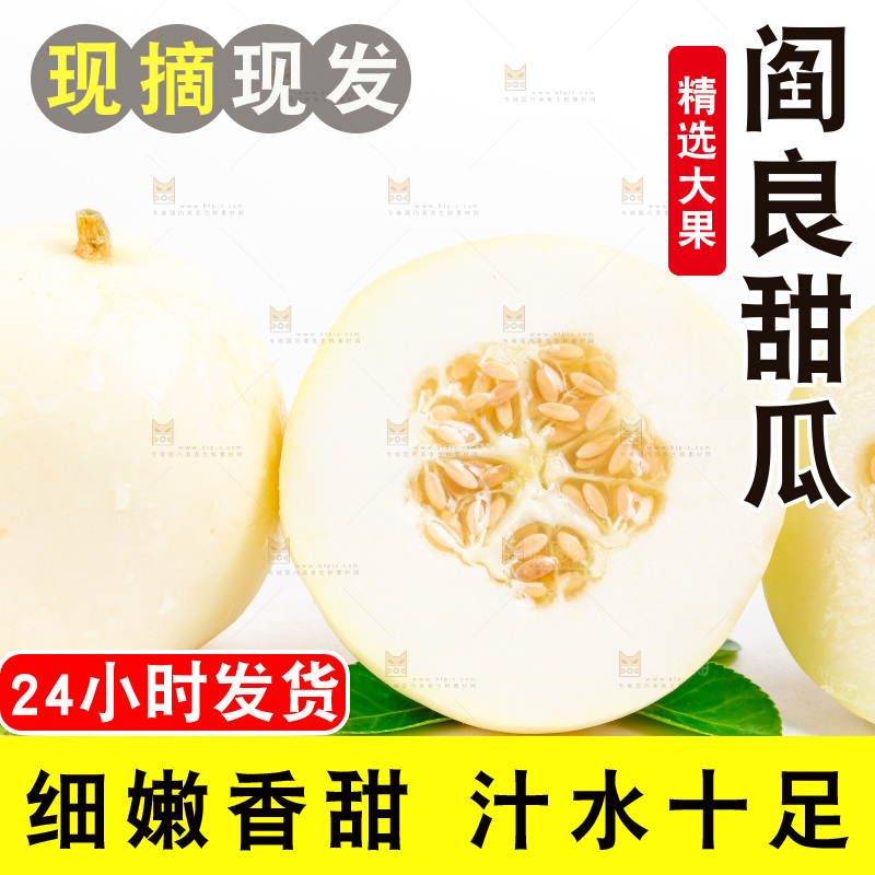 新鲜阎良甜瓜放在白底上