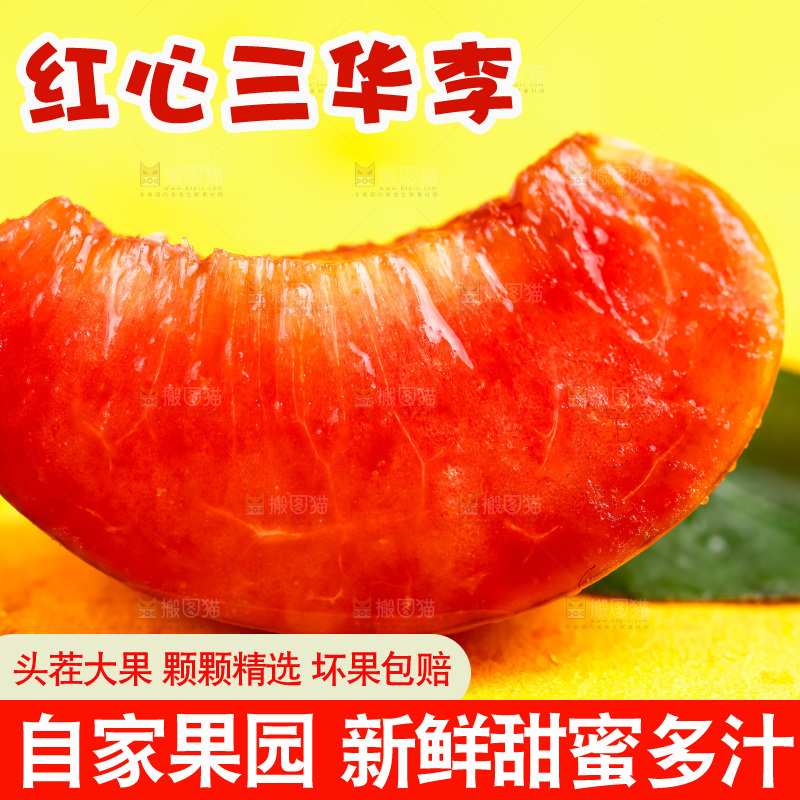 浅底上放着钱排三华李