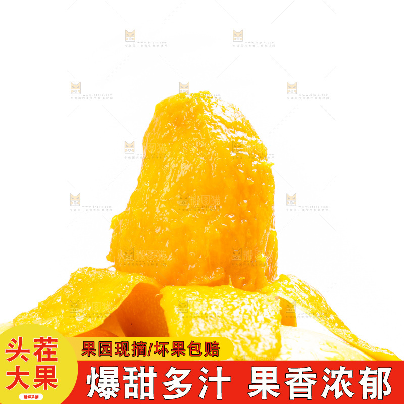 新鲜台芒放在白底上