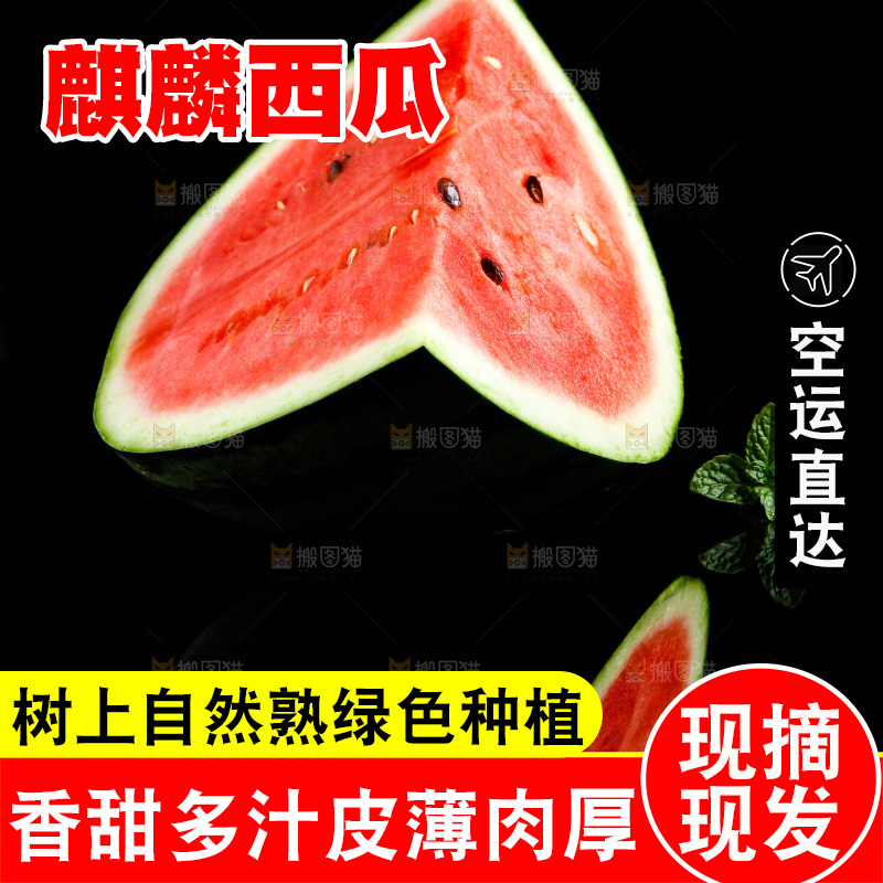 黑底上放着红肉西瓜