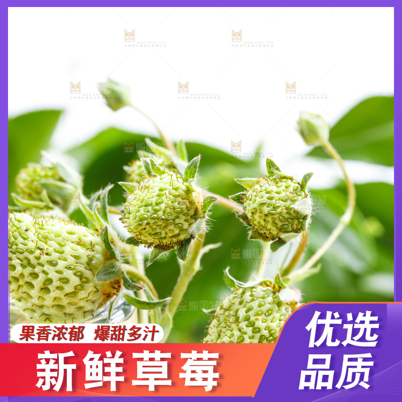 浅底上放着新鲜草莓