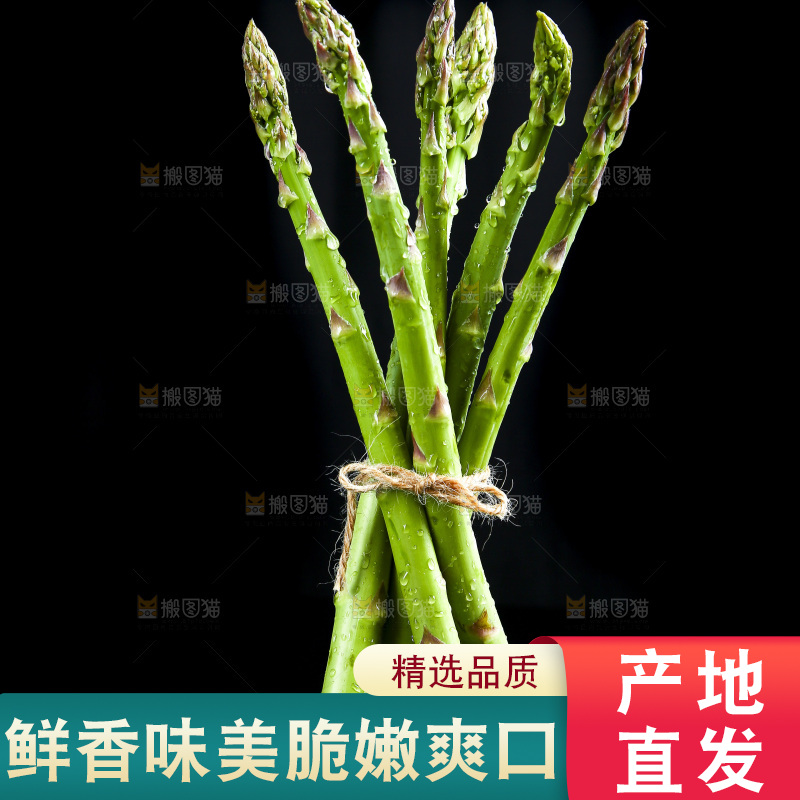 黑底上的青芦笋