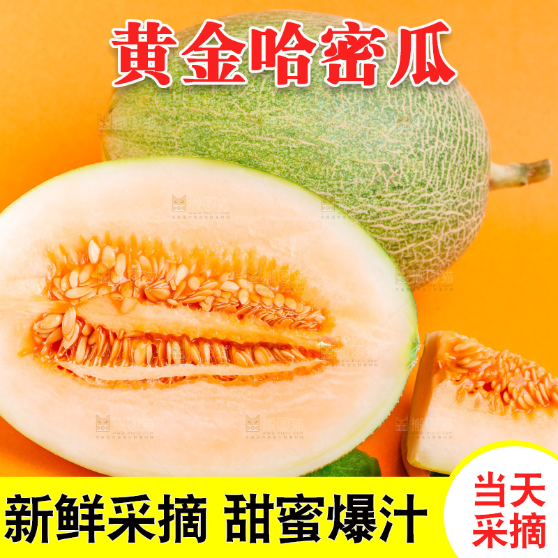 浅底上放着新疆哈密瓜