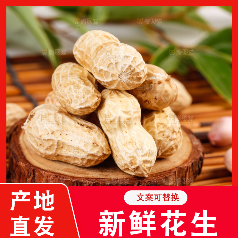 深底上的新鲜带壳花生