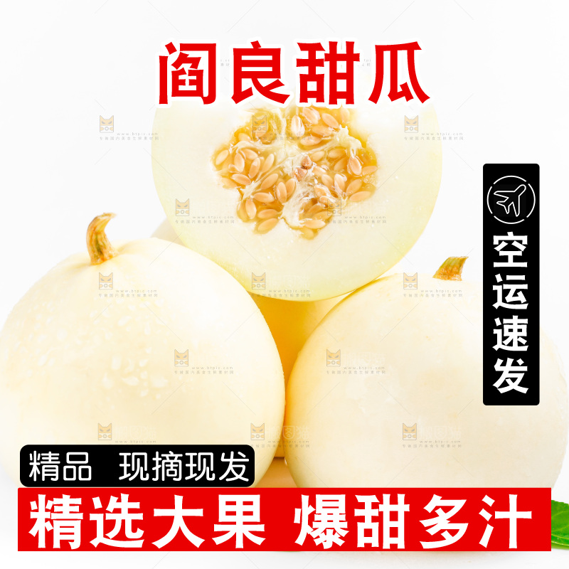 新鲜阎良甜瓜放在白底上
