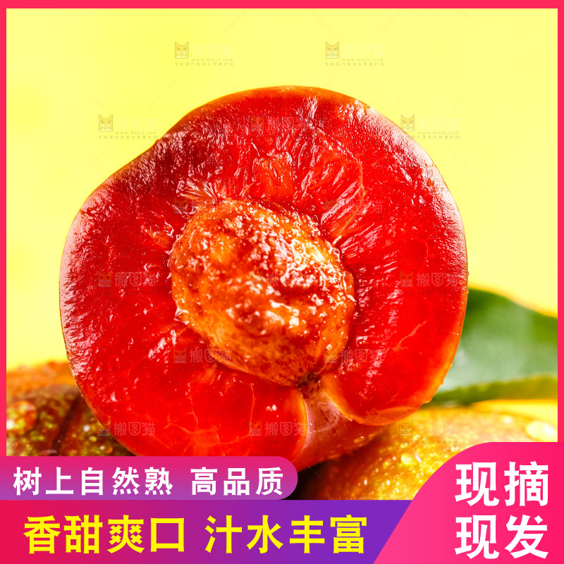 浅底上放着钱排三华李