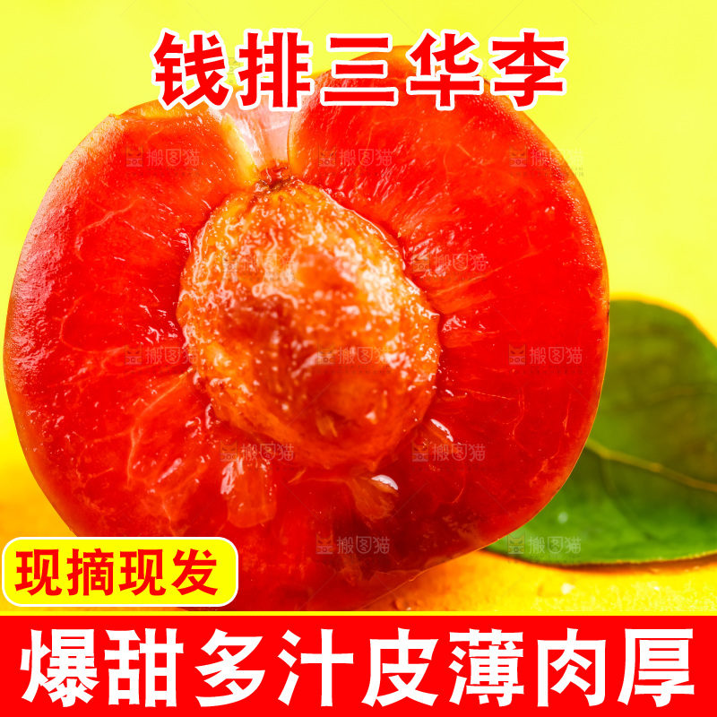 浅底上放着钱排三华李