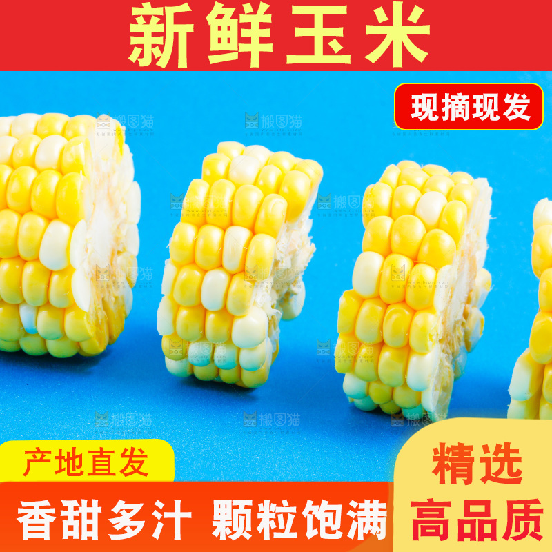 蓝底上放着云南水果甜玉米