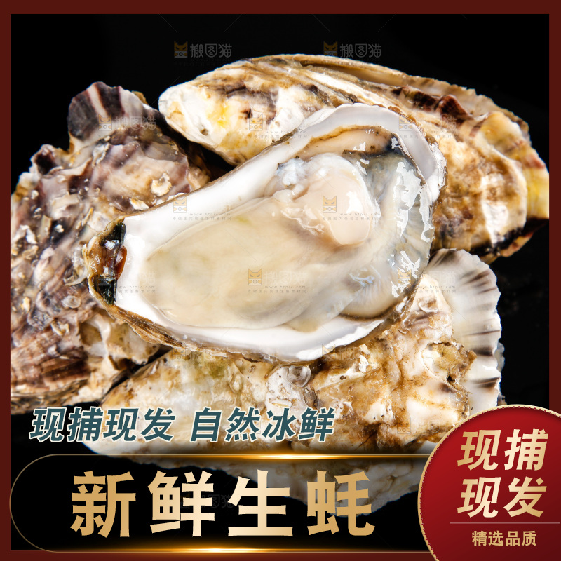 深底上放着牡蛎