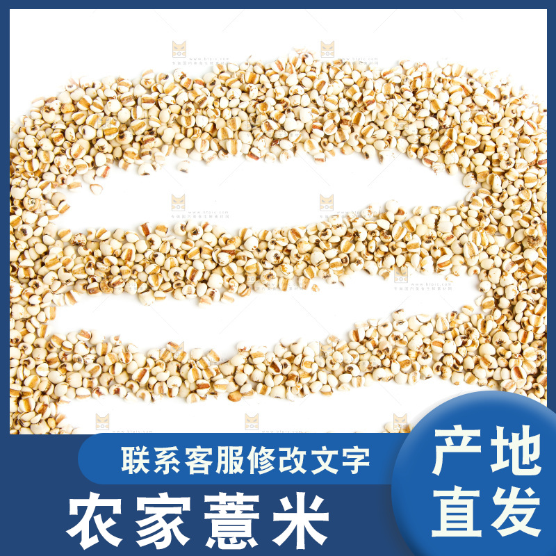 白底上放着薏米仁