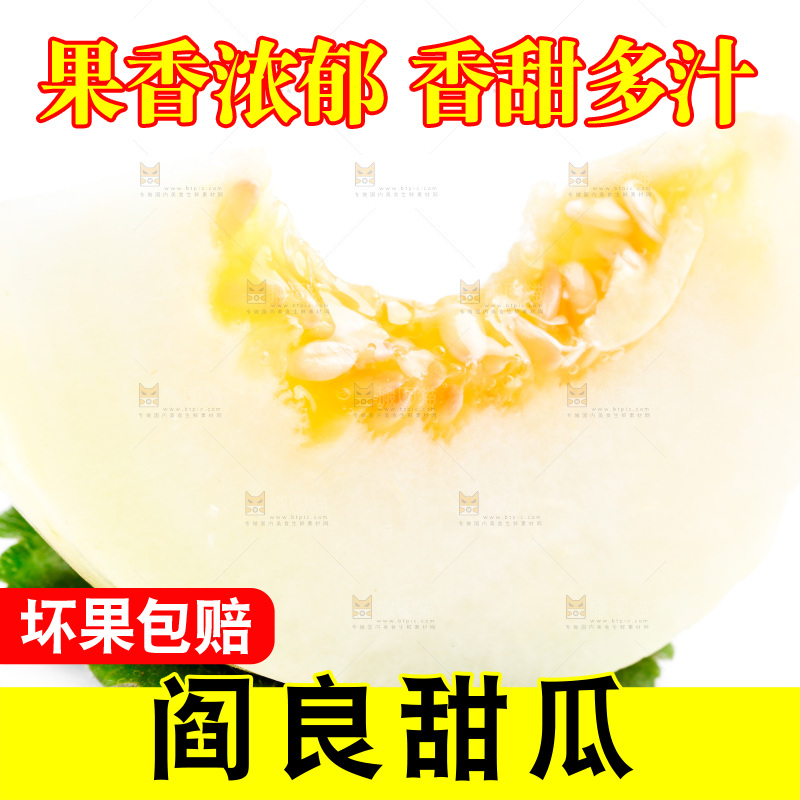 白底上的阎良甜瓜