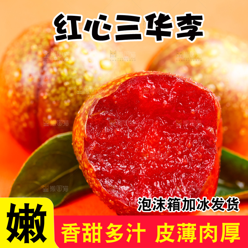 浅底上放着钱排三华李