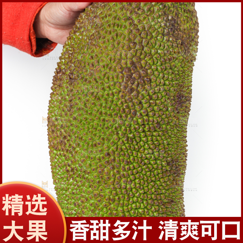 白底上放着一个完整的菠萝蜜