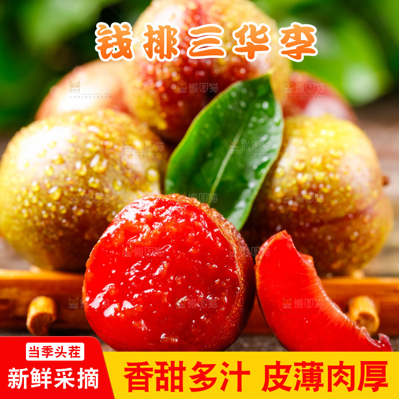 木盒里装着钱排三华李
