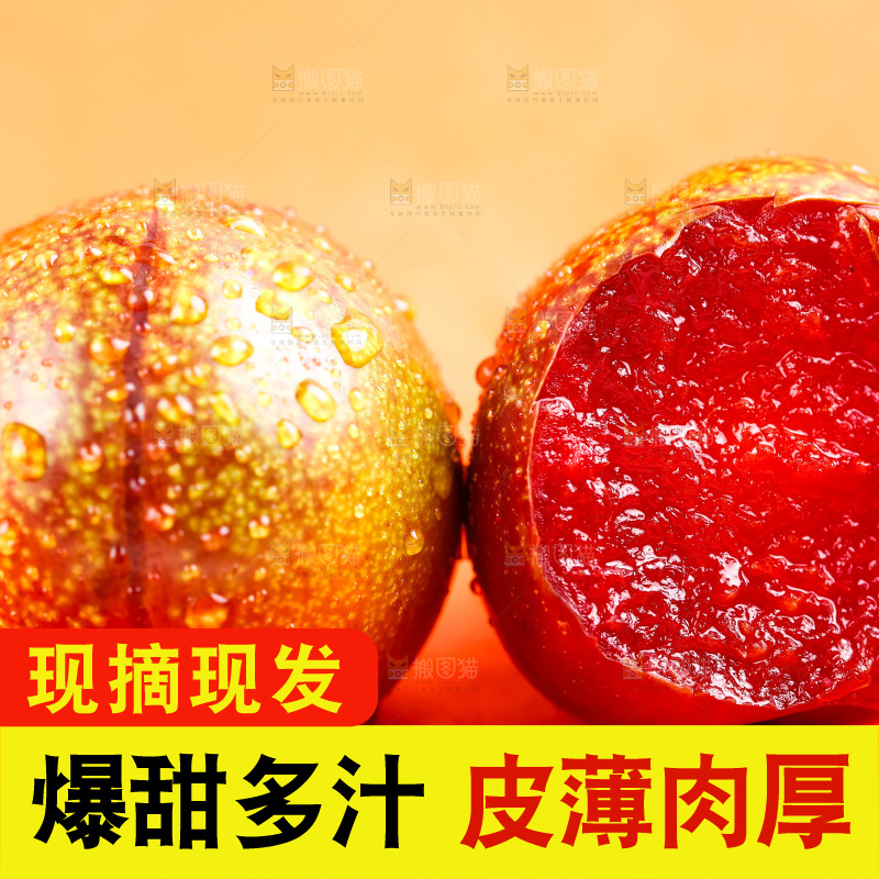 浅底上放着钱排三华李