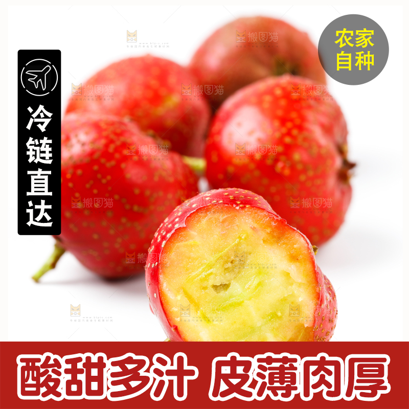 白底上的山楂果