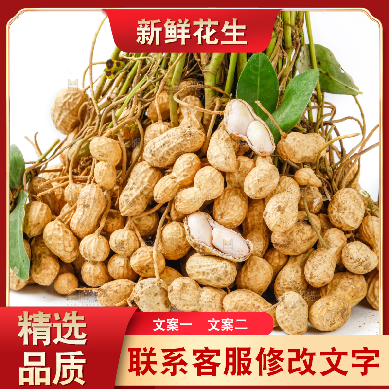 白底上放着一堆花生