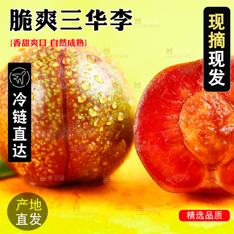 浅底上放着钱排三华李