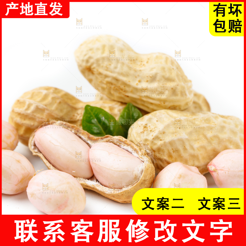 白底上的湿花生和花生米