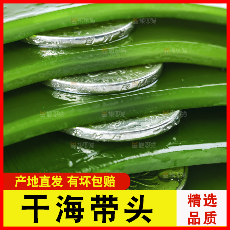 摆放着一堆的新鲜海带