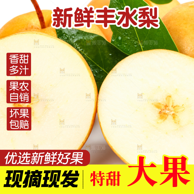 白底上摆放着河北丰水梨