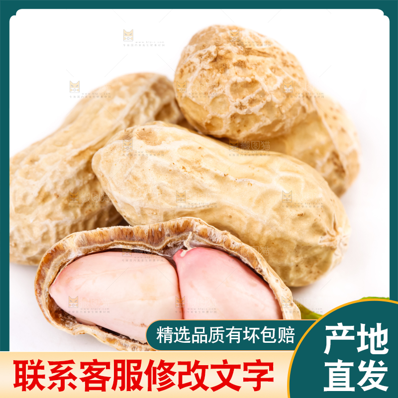 白底上的湿花生