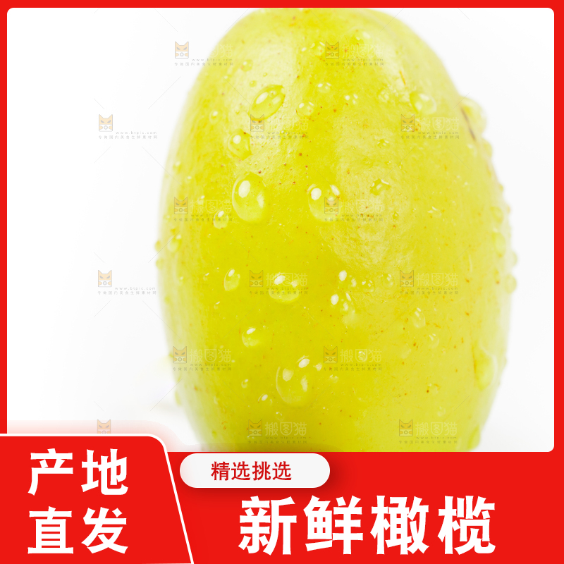 白底上的橄榄果