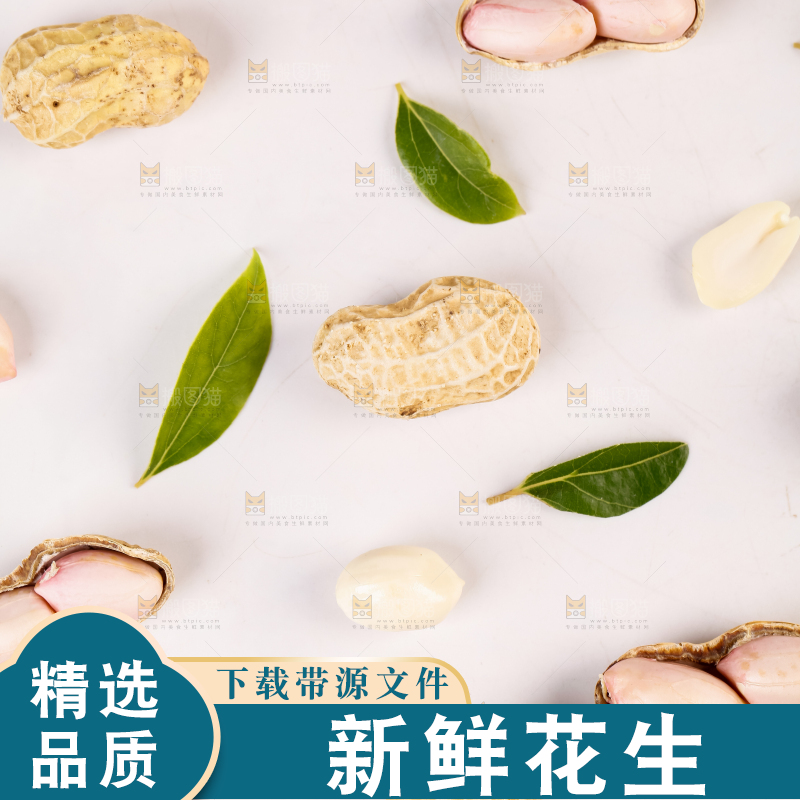 白底上的生花生