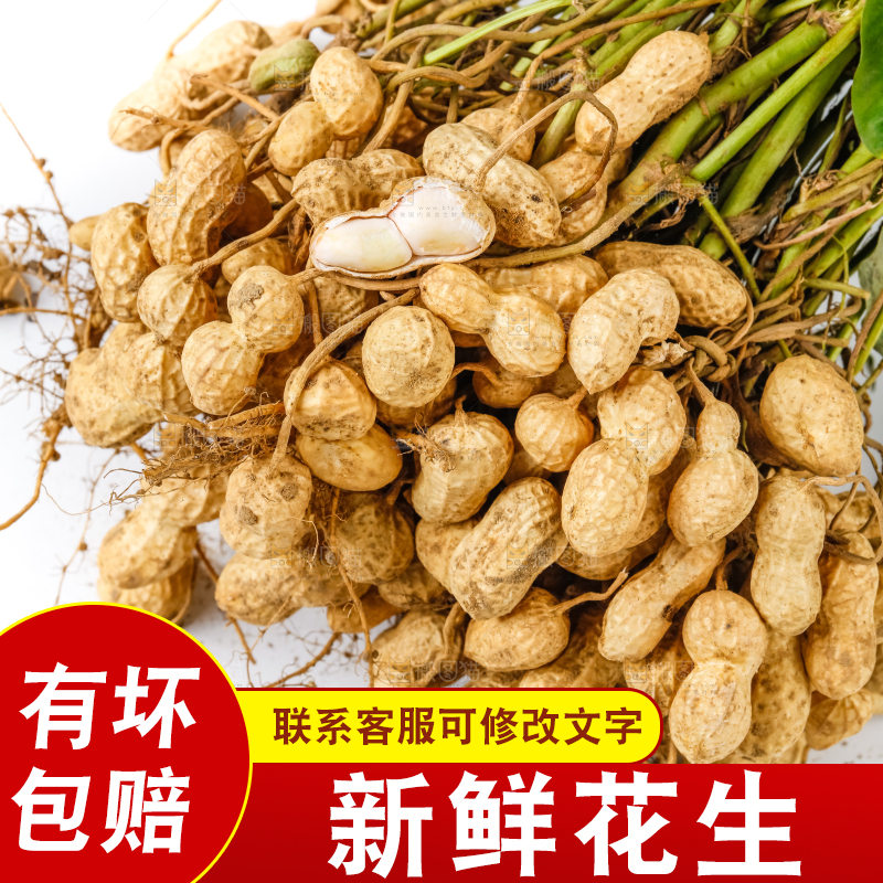白底上放着一堆花生