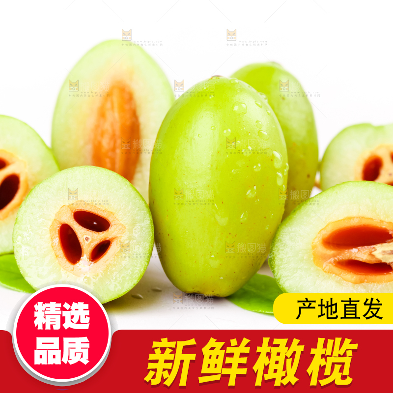 白底上的橄榄果