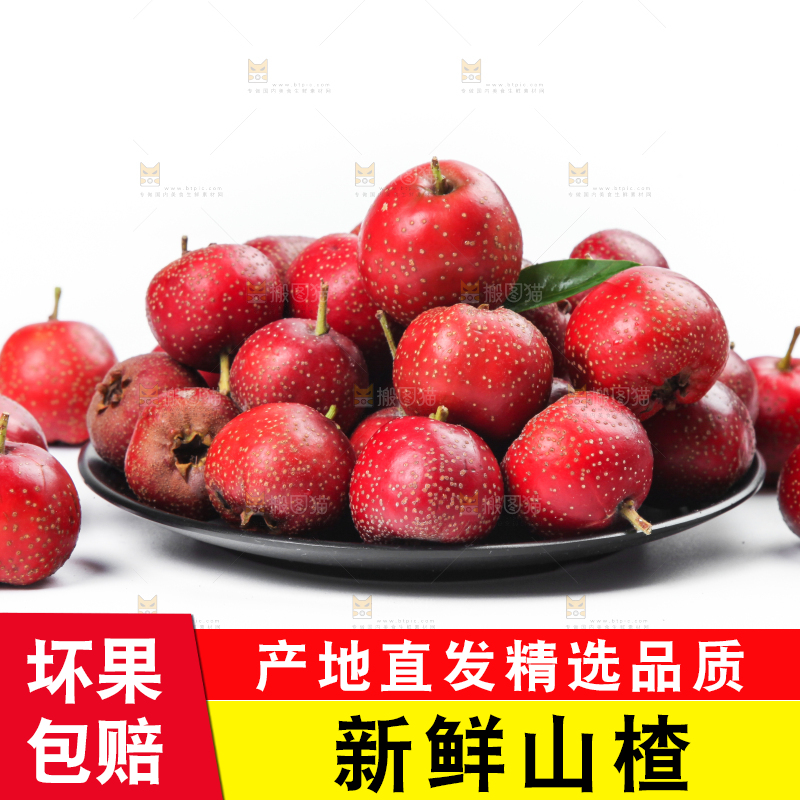 白底上盘子里的山楂果