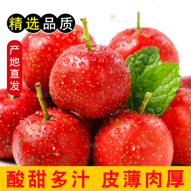 白底上的山楂果