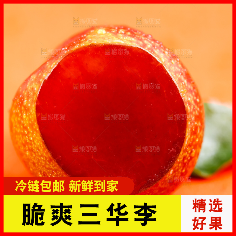 浅底上摆放着钱排三华李