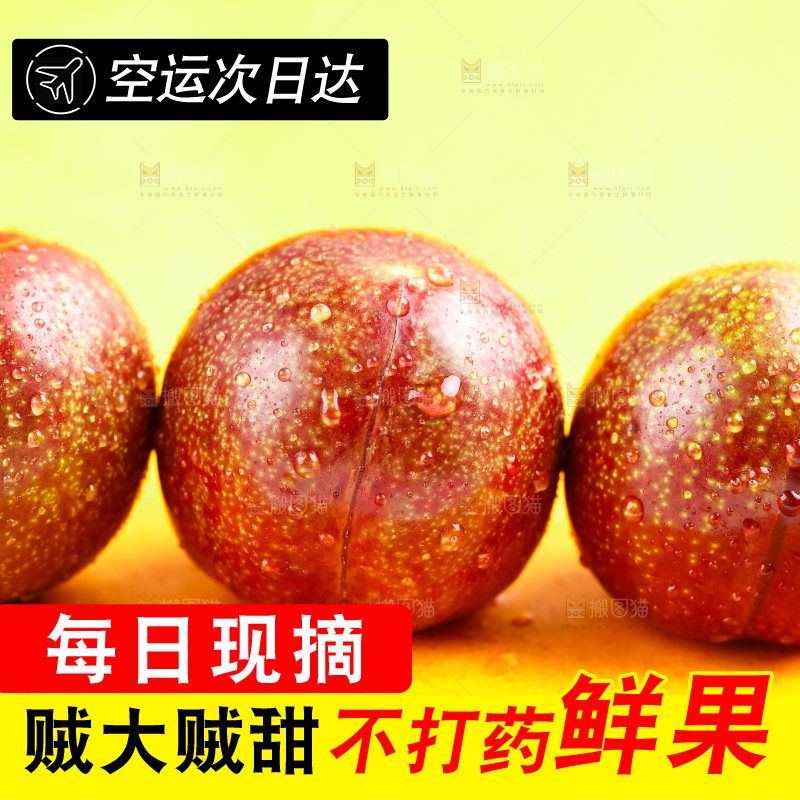 浅底上放着钱排三华李
