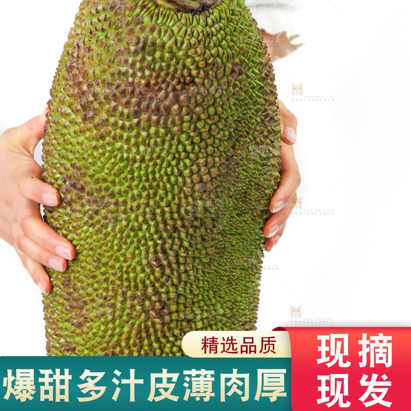 白底上放着海南菠萝蜜