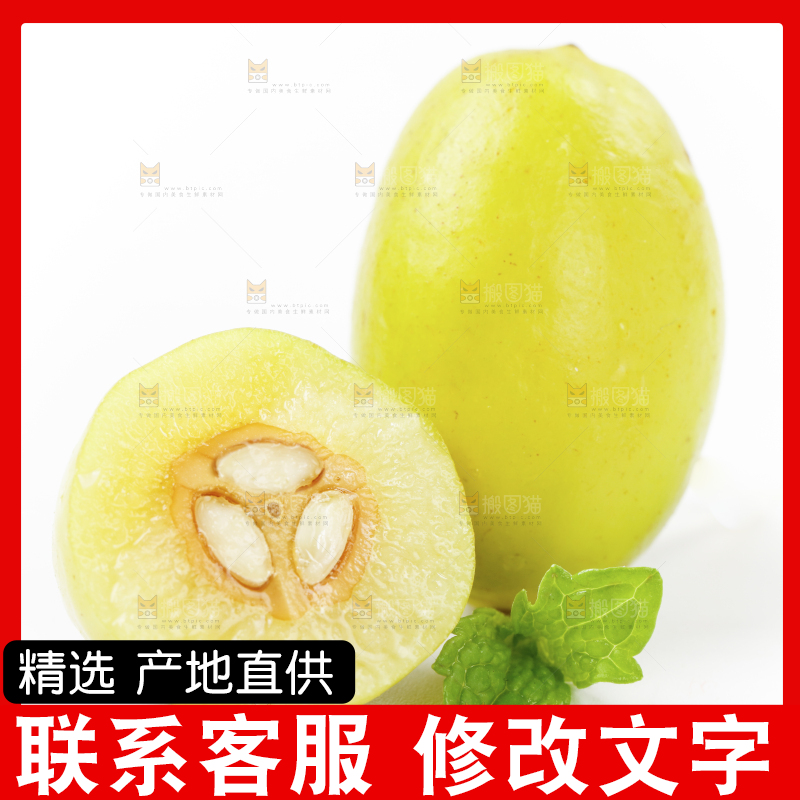 白底上的橄榄果