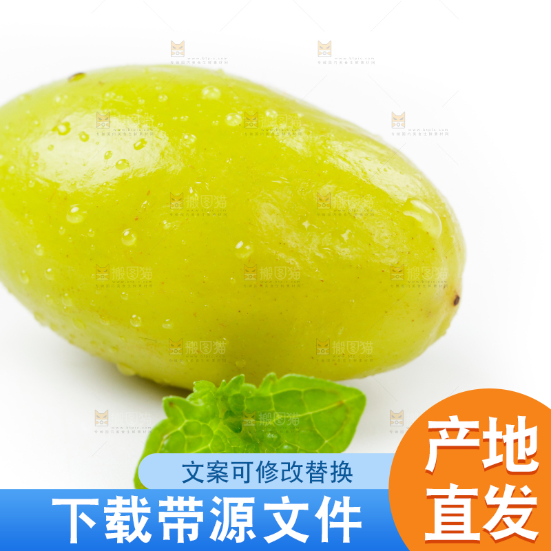 白底上的橄榄果