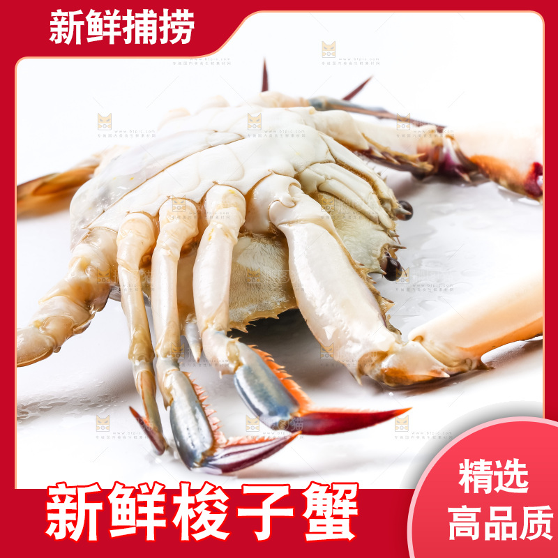 白底上摆放着舟山梭子蟹