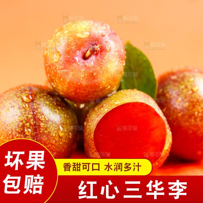 浅底上摆放着钱排三华李