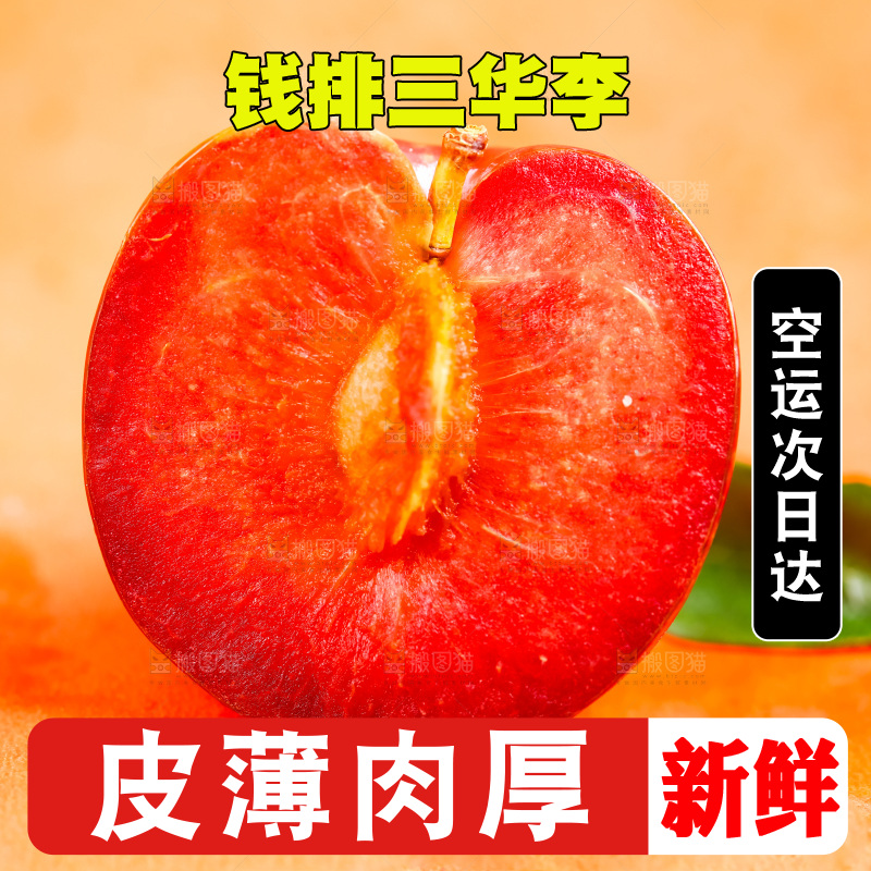 浅底上放着钱排三华李
