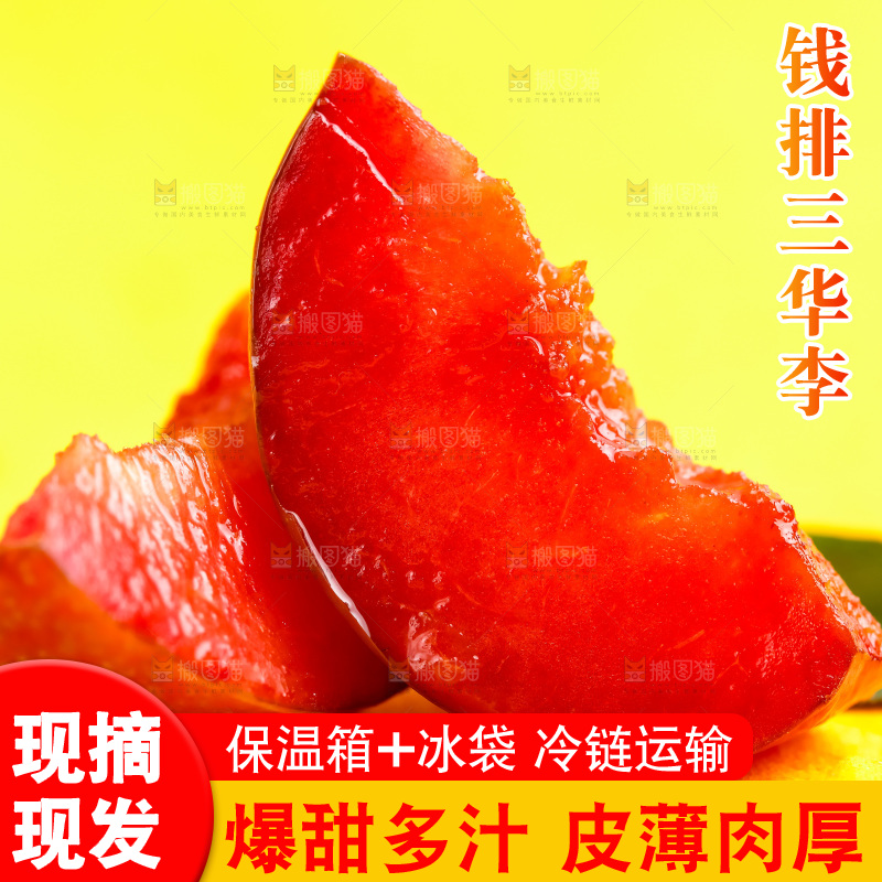 浅底上放着钱排三华李