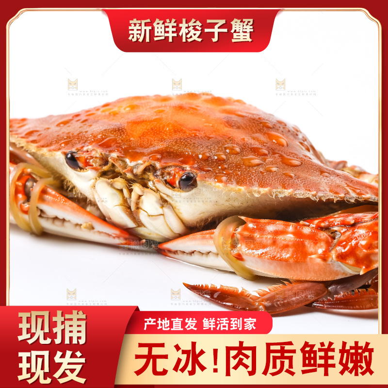 白底上摆放着舟山梭子蟹