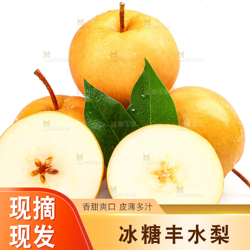 白底上摆放着山东丰水梨