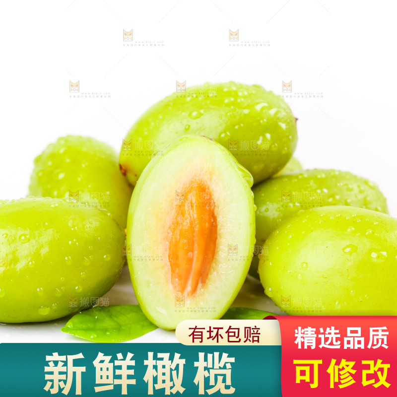 白底上的橄榄果