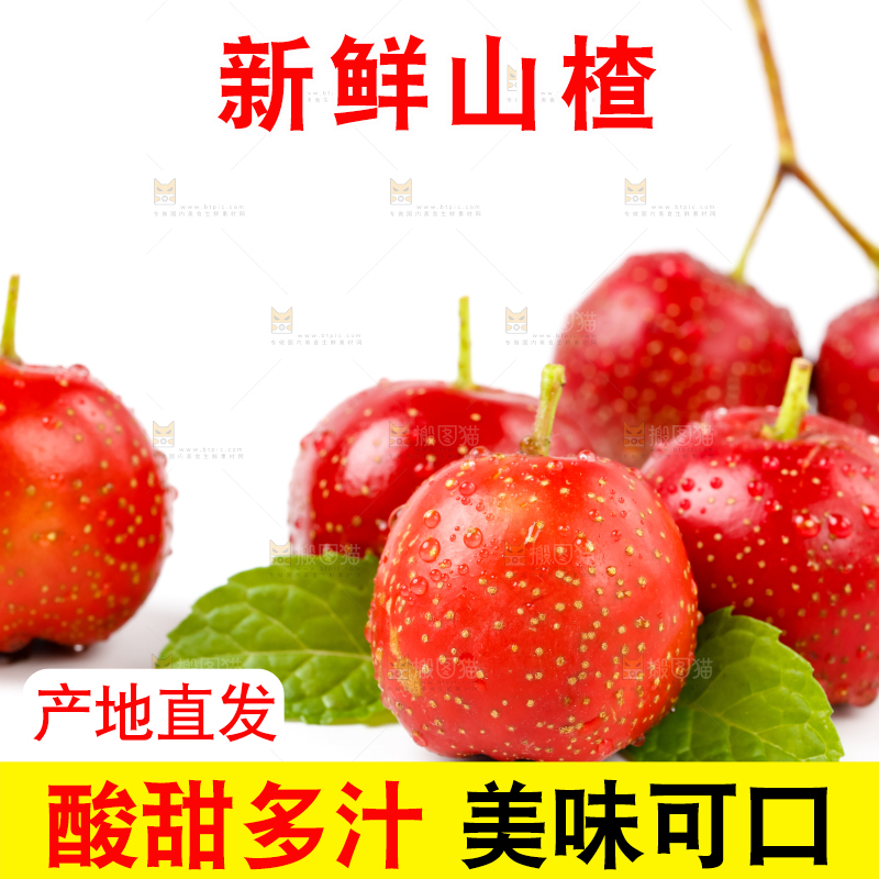 白底上盘子里的沂蒙山楂果