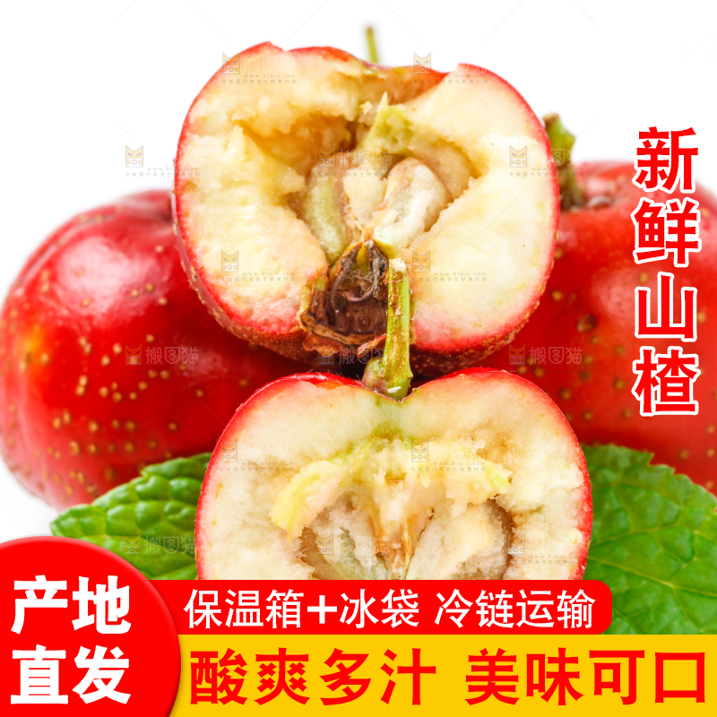 白底上的山楂果